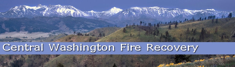 cropped-header1.jpg
