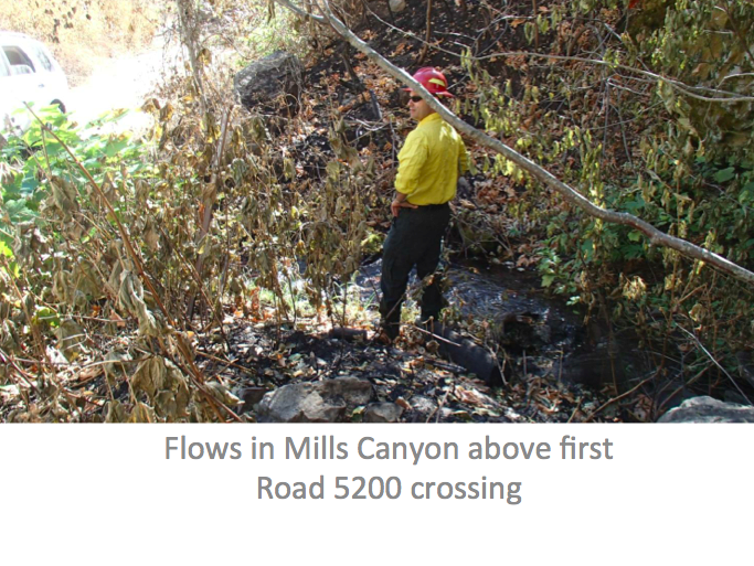 USDA FOREST SERVICE PHOTO