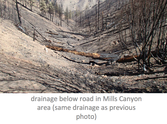 USDA FOREST SERVICE PHOTO