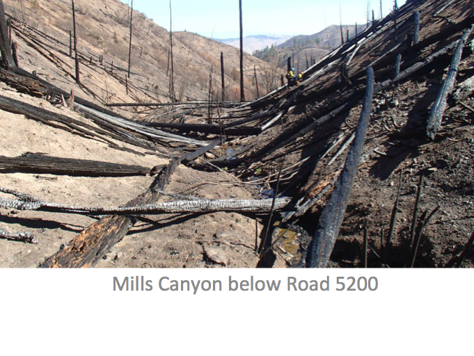 USDA FOREST SERVICE PHOTO