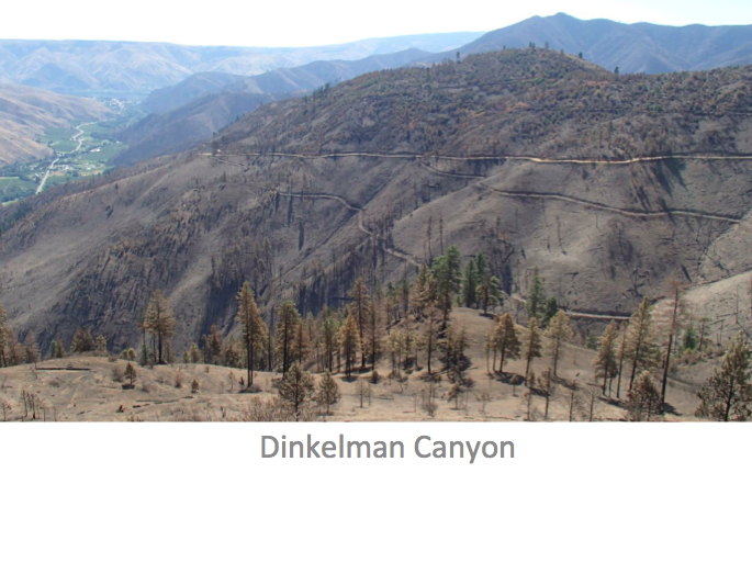 USDA FOREST SERVICE PHOTO