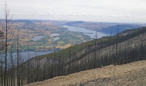 First Creek Fire burn area, Lake Chelan in background           