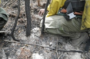 First Creek Fire soil burn severity testing 