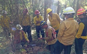 Team gathers to assess soil burn severity         