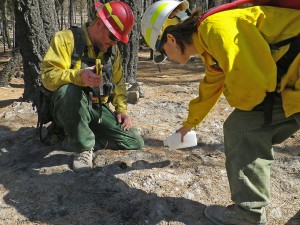 Black Canyon Fire hydorphobicity testing                      