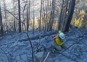Assessing soil burn severity in the Black Canyon burn area                    